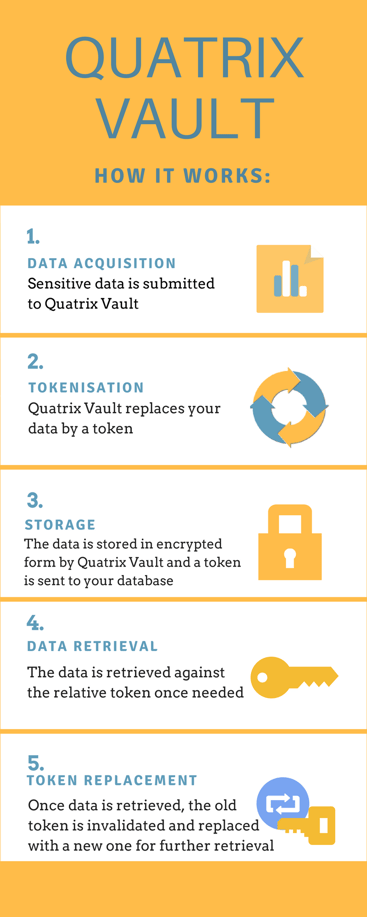 vault infographic vault infographic